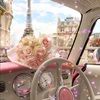 pinkposhdesign